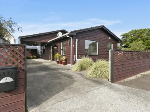 6 King Street, Petone