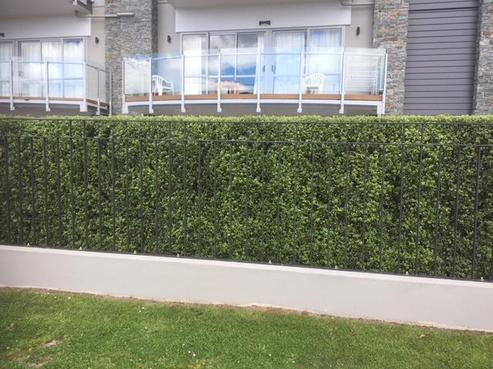 103/252 Centreway Road, Orewa