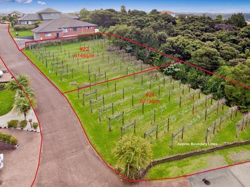 22 Lorikeet Place, Unsworth Heights