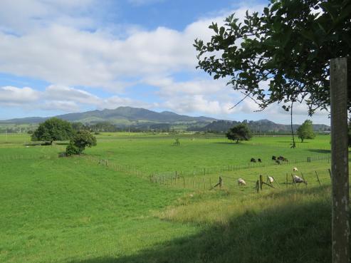 2879 Arapuni Road, Pukeatua