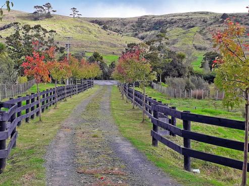 1281 Whangaripo Valley Road, Whangaripo