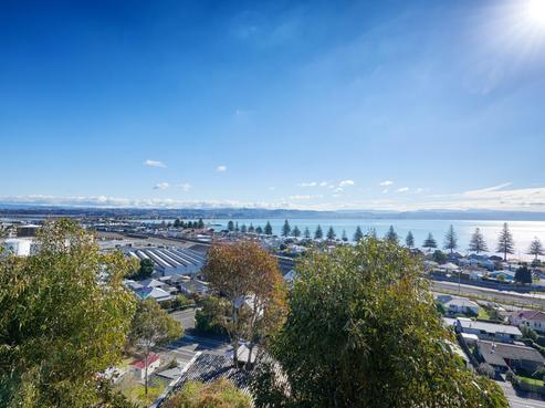 40A Roslyn Road, Napier Hill