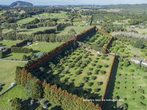 38 Forest View Road, Kamo