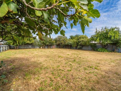 6A New York Street, Martinborough
