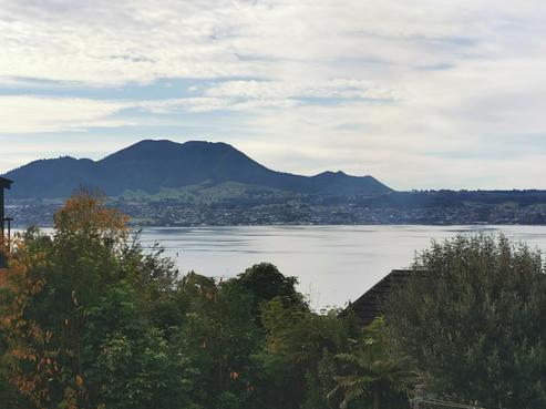 89 Wakeman Road, Acacia Bay