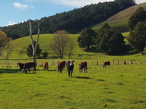 759 Mataraua Road, Kaikohe