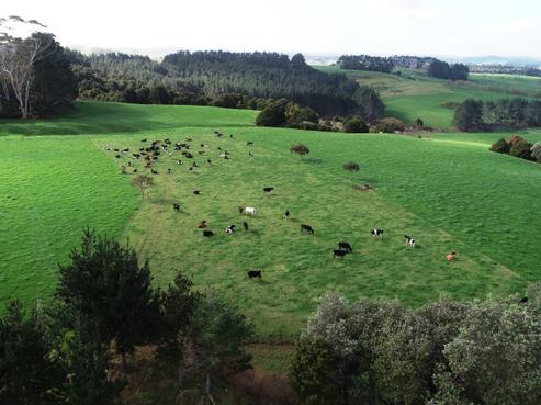 767 Rakauwahia Road, Kaikohe West