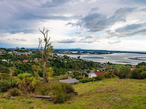 81 Soleares Avenue, Mount Pleasant