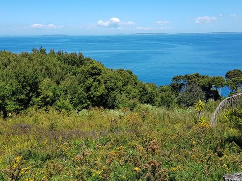 12 Elizabeth Point Road, Kawau Island