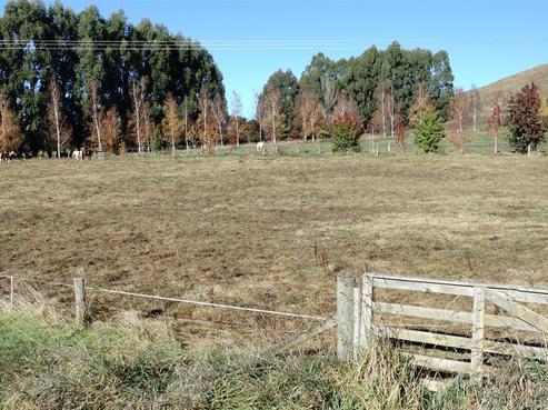 272 Homewood Road, Waipawa