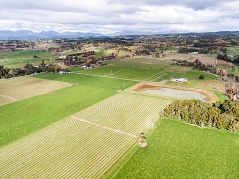 20 Davey Road, Upper Moutere