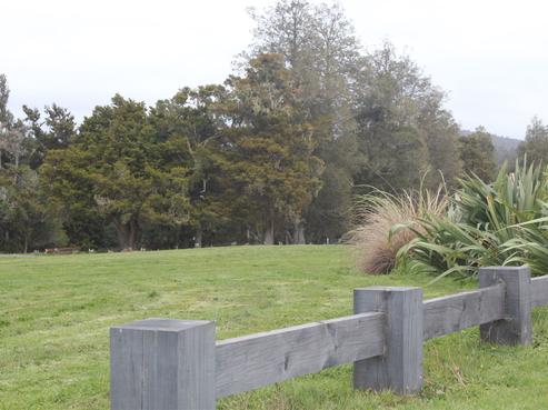 118 Karanui Road, Kamo