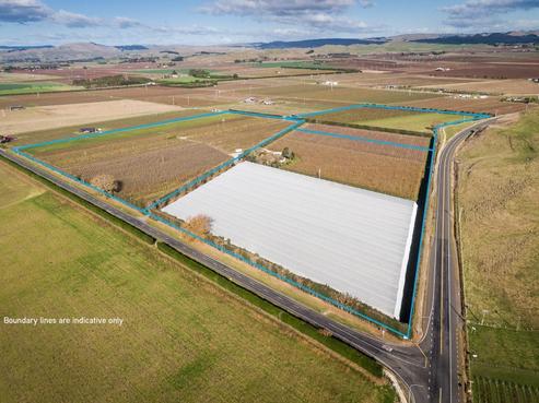 445 Ngatarawa Road, Bridge Pa
