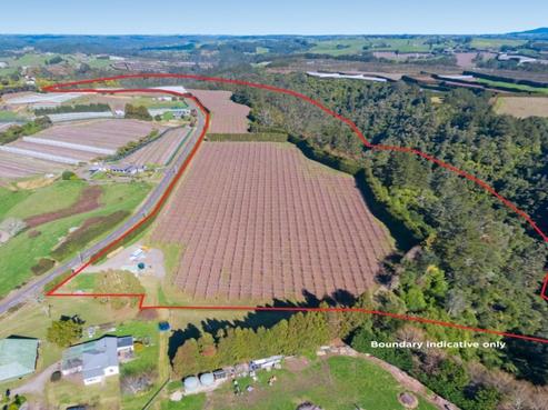 488 Maungarangi Road, Paengaroa