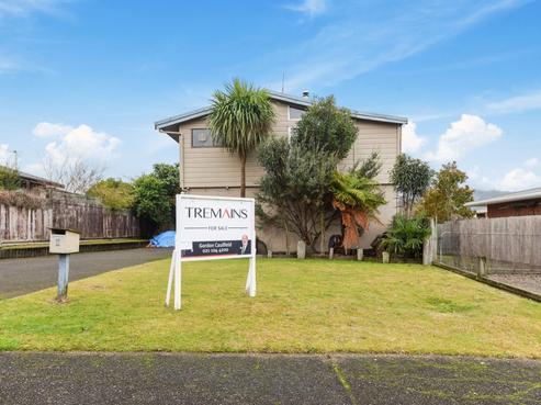 11 Hapi Street, Westbrook