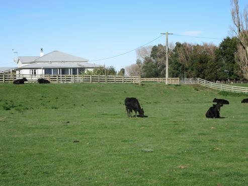 558 Kimbolton Road, Feilding