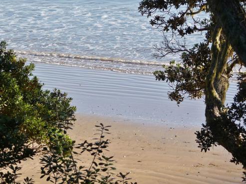 48 Bayside Drive, Coopers Beach