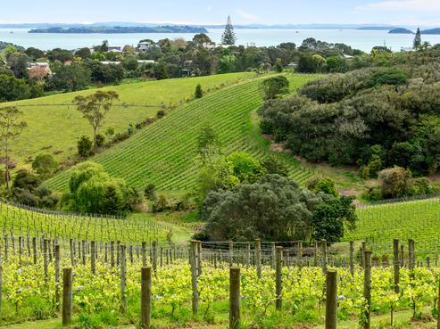 3 Gulf Place, Oneroa