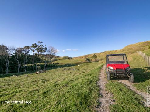 200 Valley Road, Muriwai