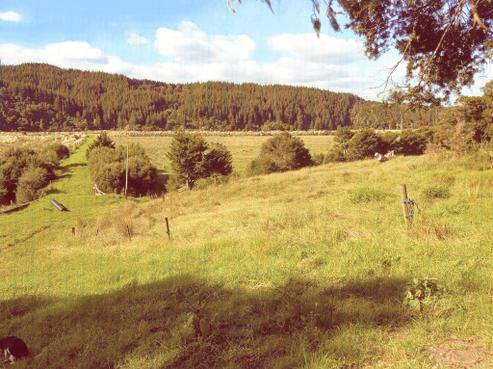 714 Duddy Road, Rawene