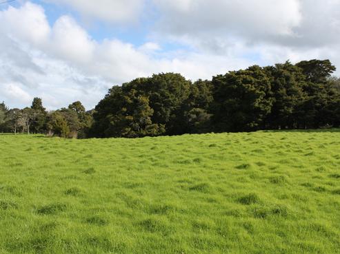 187 Millbrook Road, Waipu