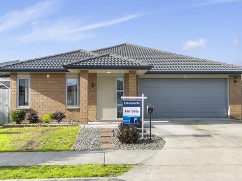 4 Kaki Lane, Takanini