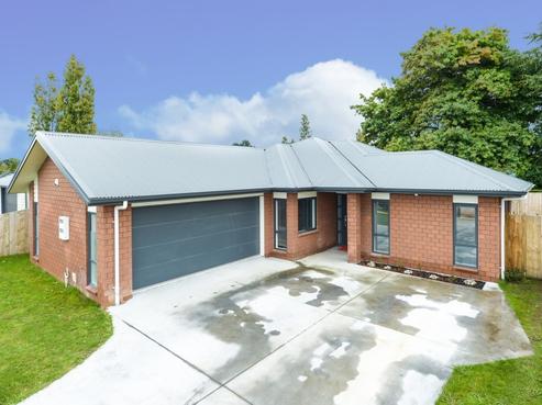 51 Tupelo Street, Pukete