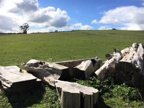 71 Horseshoe Lane, Ruatangata