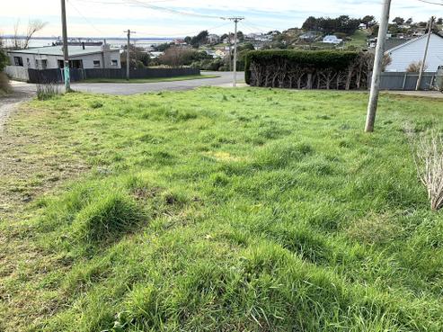 52 Mcdougall Street, Bluff