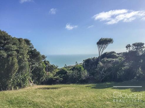 19 Te Ahuahu Road, Piha