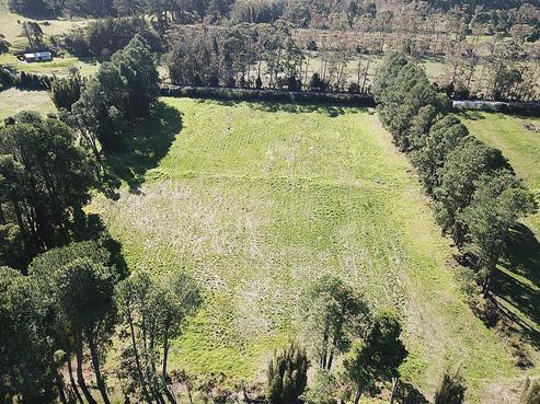 311 Spains Road, Awanui