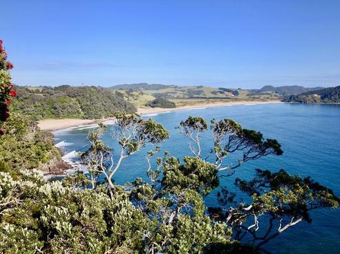 77 Radar Road, Hot Water Beach