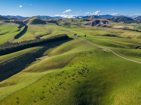 318 Sisters Road, Cheviot