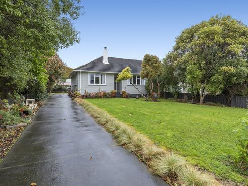 393 Cambridge Terrace, Naenae