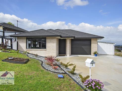 3 Cole Terrace, Kamo