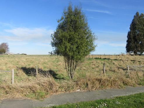 69 Timaru Road, Waimate