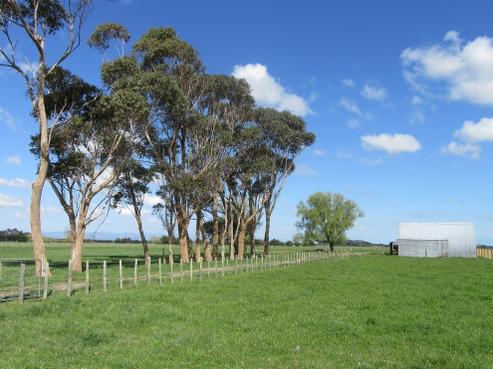 236 Colyton Road, Feilding