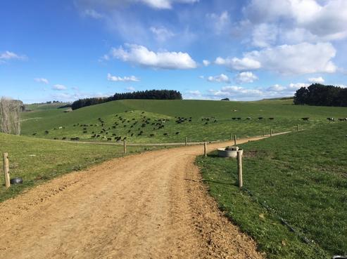 737 Airedale Road, North Otago