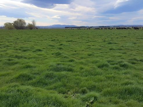 363 Peebles Siding Road, North Otago