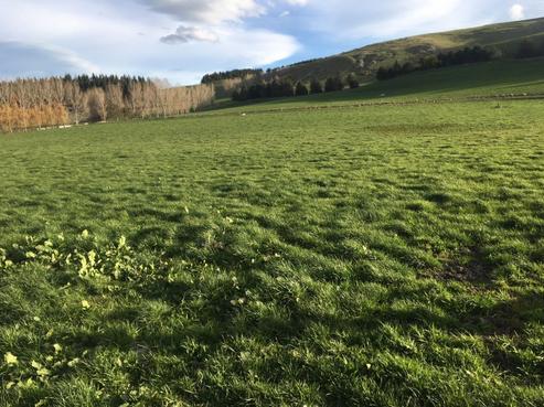 1357 Georgetown-pukeuri Road, North Otago