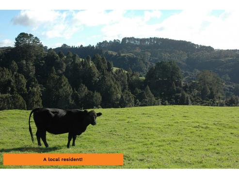 540 Krippner Road, Puhoi