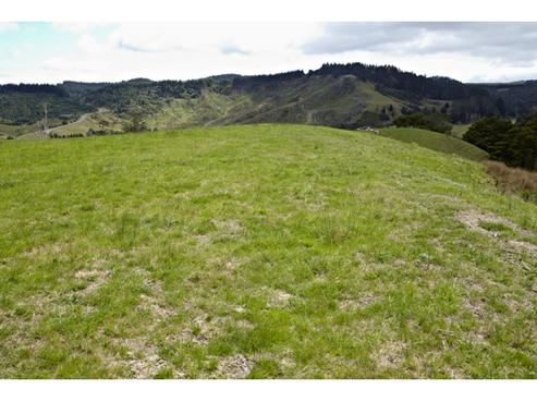 27 Haul Road, Makarau