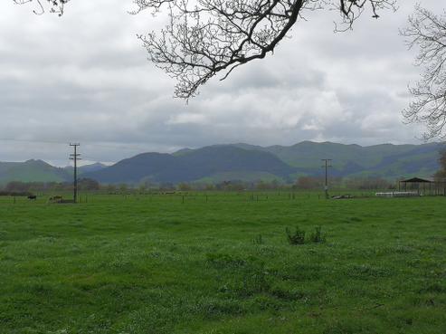 336 Strange Road, Te Aroha