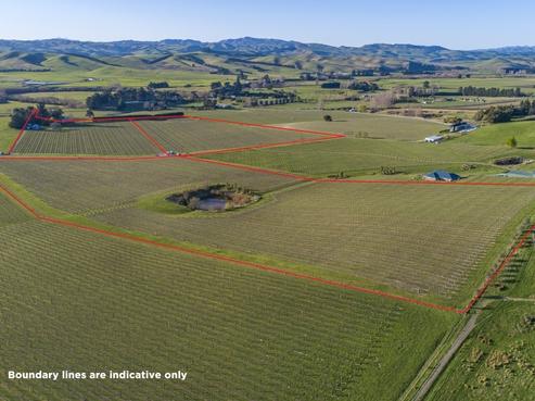 82 Blacks Avenue, Waipara