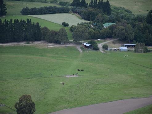 207 Megowans Road, Scargill