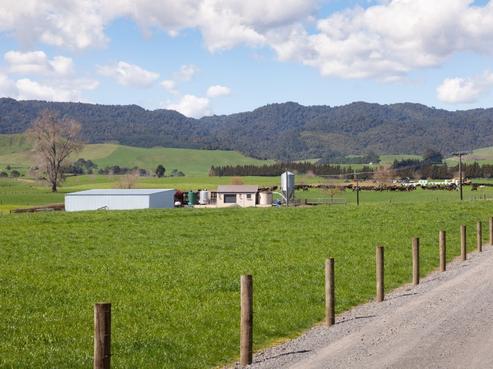 216A Rapurapu Road, Te Poi