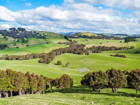 1312 Ngahape Road, Central Hawkes Bay Country