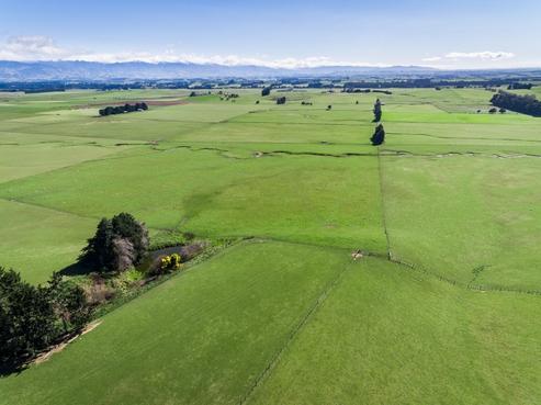 55 Byrne Road, Takapau