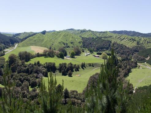 3186 State Highway 4, Kakatahi