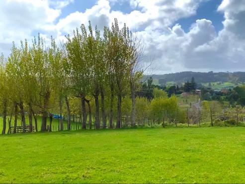 25B Twin Springs Drive, Helensville